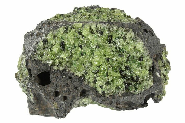 Peridot in Basalt - Arizona #247747